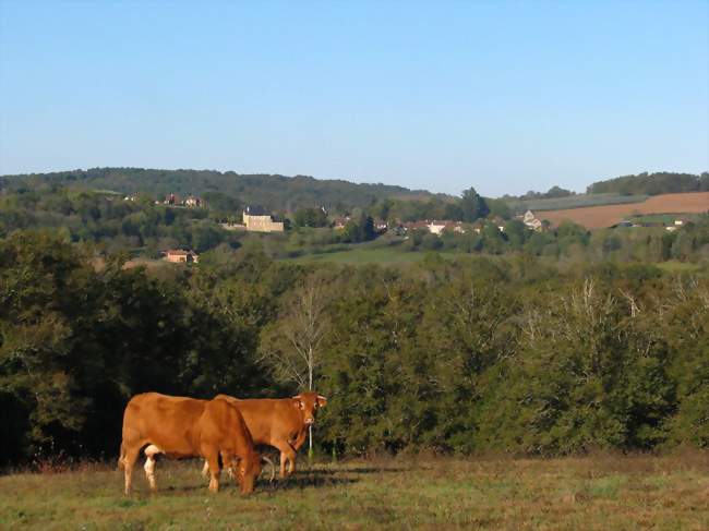 Auxiliaire de Vie Sociale -AVS-