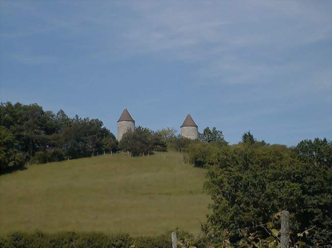 Les deux moulins de Boisse - Boisse (24560) - Dordogne