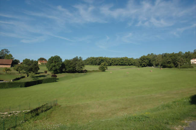 Paysage à Bouillac - Bouillac (24480) - Dordogne