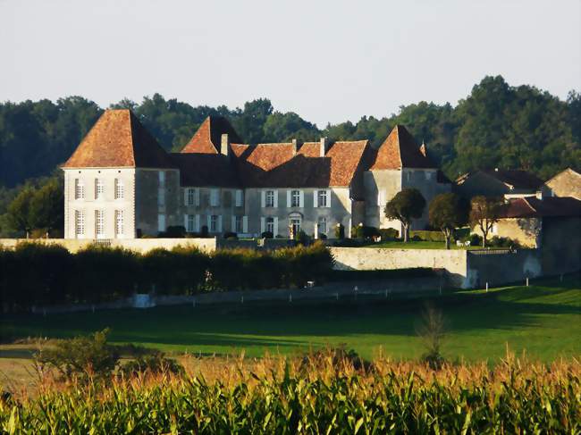Le château de Connezac - Connezac (24300) - Dordogne