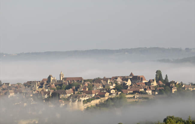 Employé / Employée de ménage en hôtellerie de plein air