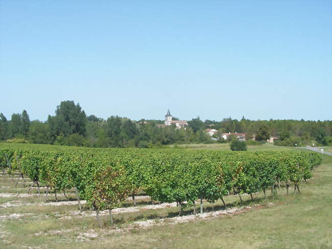Vignes et village de Plaisance - Plaisance (24560) - Dordogne