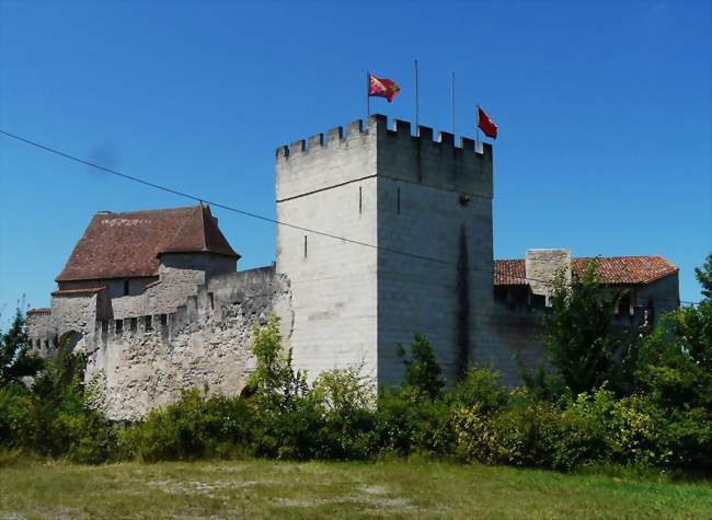 Le château de Grignols - Grignols (24110) - Dordogne