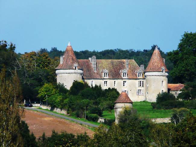 Le château de Beauvais et son pigeonnier - Lussas-et-Nontronneau (24300) - Dordogne