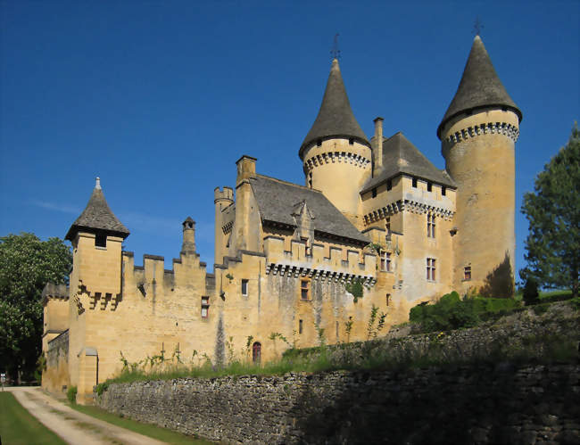 Le château de Puymartin - Marquay (24620) - Dordogne