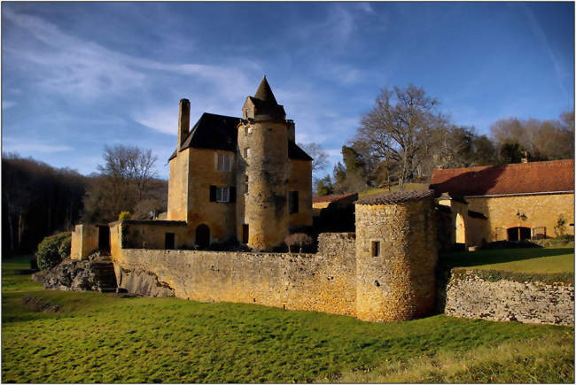 Le manoir du Cluzeau à Proissans - Proissans (24200) - Dordogne