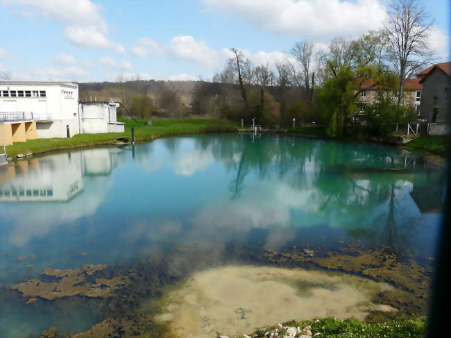 La source des Moulineaux, à Razac-sur-l'Isle - Razac-sur-l'Isle (24430) - Dordogne