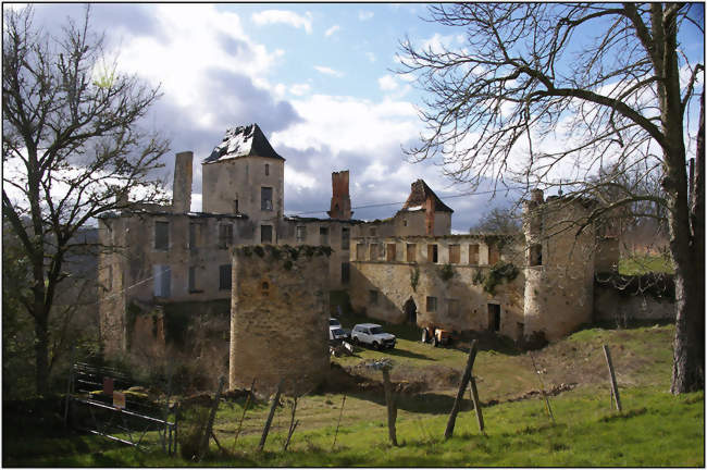 Les ruines du château du Repaire, à Saint-Aubin-de-Nabirat - Saint-Aubin-de-Nabirat (24250) - Dordogne