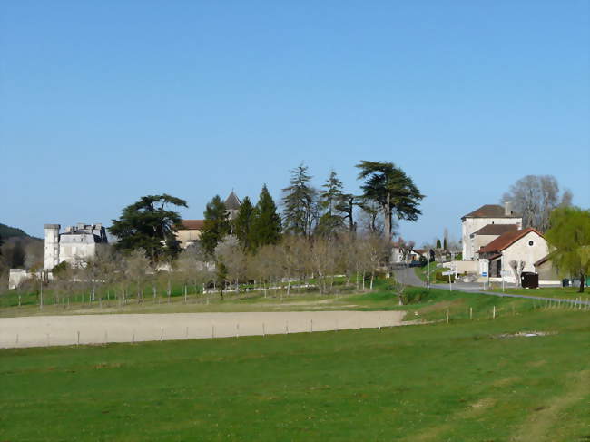 Concours de pétanque