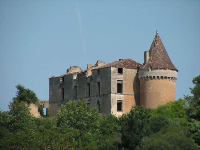 Le château de Longas à Le château de Longas - Sainte-Foy-de-Longas (24510) - Dordogne