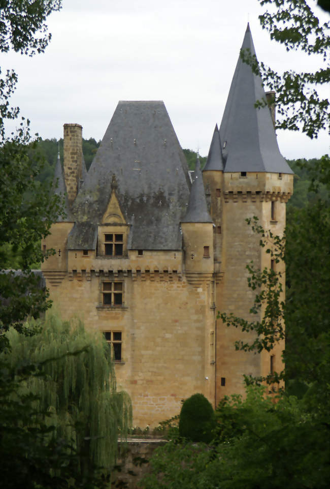 Le château de Clérans à Saint-Léon-sur-Vézère - Saint-Léon-sur-Vézère (24290) - Dordogne