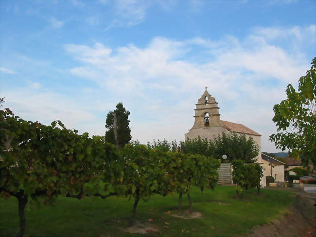 Vignes et église à Saint-Nexans - Saint-Nexans (24520) - Dordogne