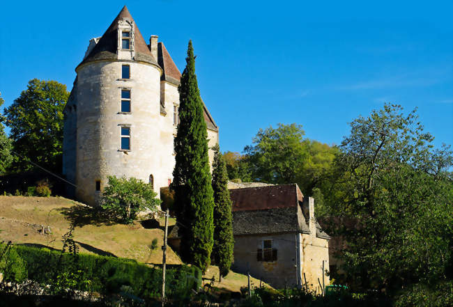 Le château de Panassou à Saint-Vincent-de-Cosse - Saint-Vincent-de-Cosse (24220) - Dordogne