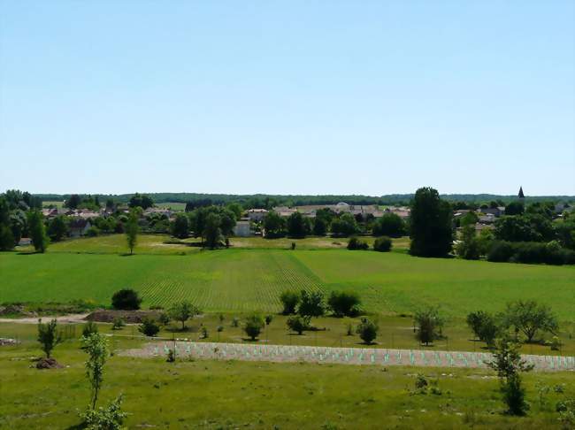 Entouré de verdure, le village de La Tour-Blanche - La Tour-Blanche (24320) - Dordogne