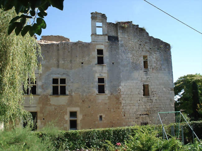Le château de Barrière à Villamblard - Villamblard (24140) - Dordogne