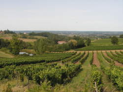 photo Escale entre Histoire et vignoble en anglais au Château La Jaubertie