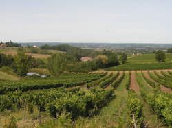 photo Portes ouvertes au château Thenoux