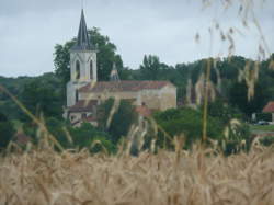 Aide ménager / ménagère à domicile