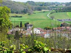 photo Auxiliaire de vie
