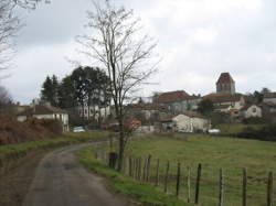 photo Conducteur / Conductrice d'engins d'exploitation agricole