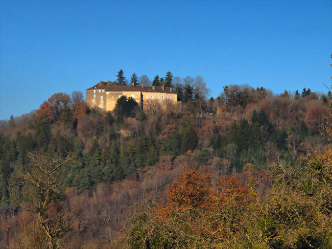 Château de Châtillon-sur-Lison - Châtillon-sur-Lison (25440) - Doubs