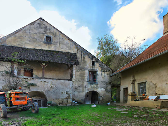 Maison vigneronne à Cuse-et-Adrisans - Cuse-et-Adrisans (25680) - Doubs
