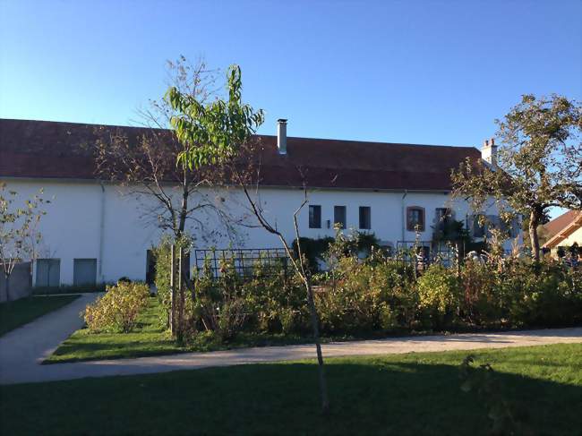 La Ferme de la famille Courbet à Flagey - Flagey (25330) - Doubs