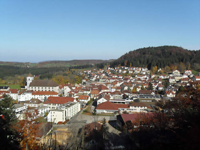 Le centre-ville de Maîche vu depuis la chapelle des Anges - Maîche (25120) - Doubs