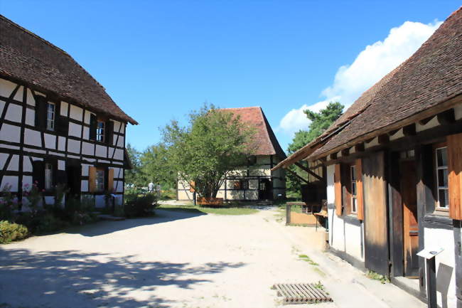 Festival de caves au Musée des Maisons Comtoises