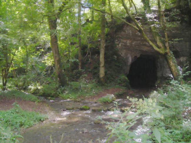 Source de la Beune à Rougemontot - Rougemontot (25640) - Doubs