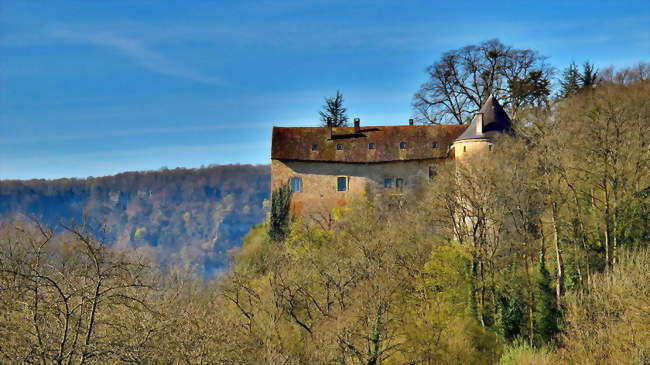 Château de Roulans - Roulans (25640) - Doubs