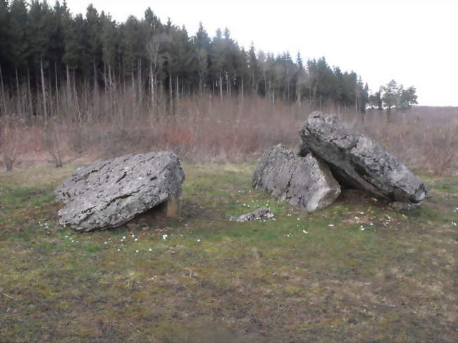 Le dolmen de Santoche - Santoche (25340) - Doubs