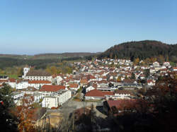 Visite du Château Montalembert