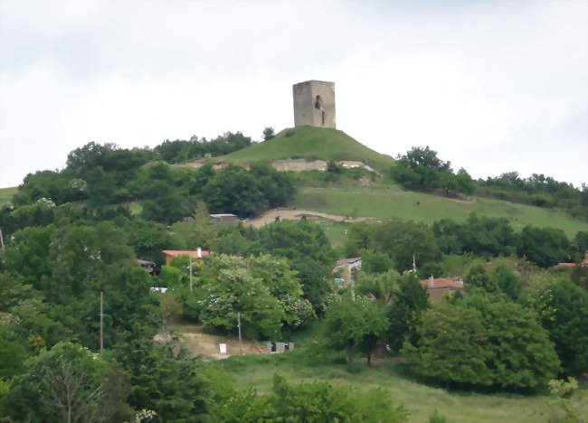 La Tour d'Albon - Albon (26140) - Drôme