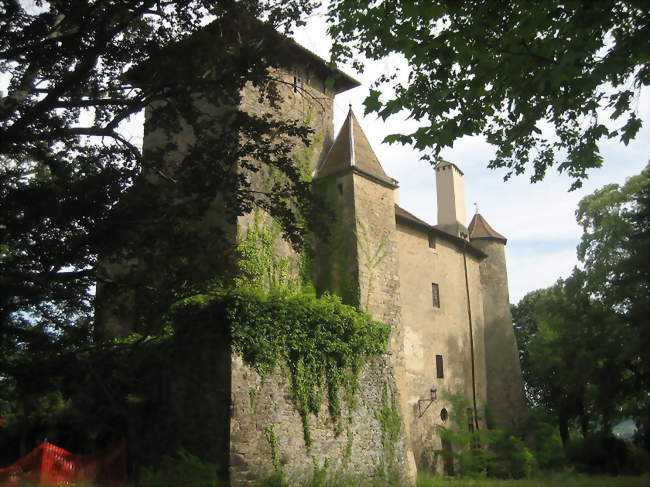 Château féodal de Charmes-sur-l'Herbasse - Charmes-sur-l'Herbasse (26260) - Drôme