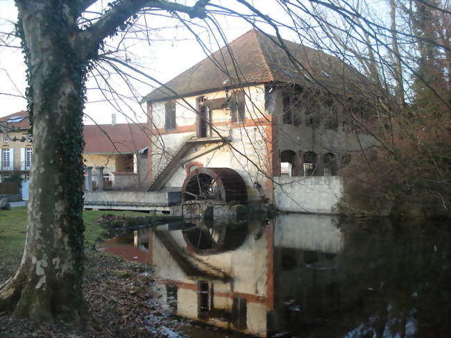 Ouvrier / Ouvrière agricole