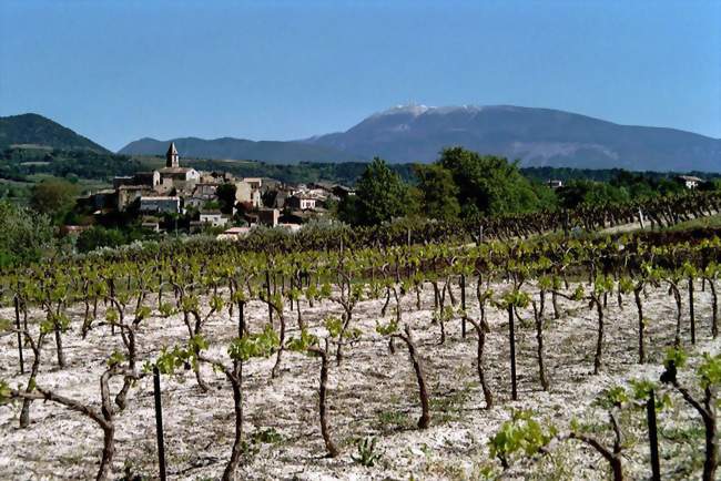 Vue sur le village - Mirabel-aux-Baronnies (26110) - Drôme