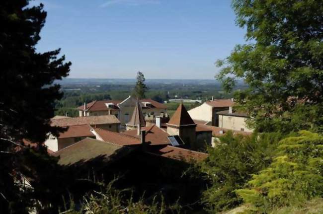 Festival de l'Art et la Matière en Drôme des Collines