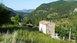 photo Serveur / Serveuse en restauration