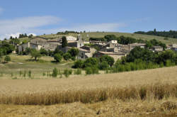 Marché aux Producteurs