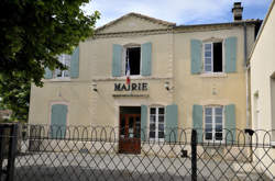 photo Serveur / Serveuse de bar