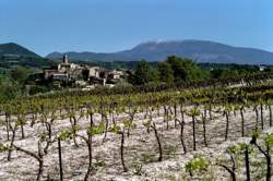 De Ferme en Ferme : Domaine des Hautes Blâches