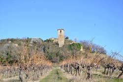 De Ferme en Ferme : Domaine Ginies