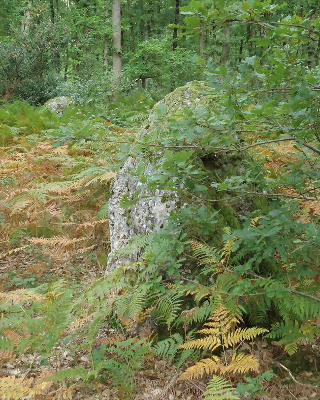 Menhirs de l'alignement des Bruyères - Les Baux-Sainte-Croix (27180) - Eure