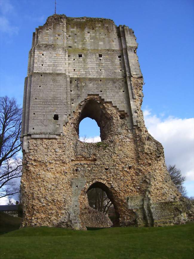 Ruines du donjon carré du XIe siècle - Brionne (27800) - Eure