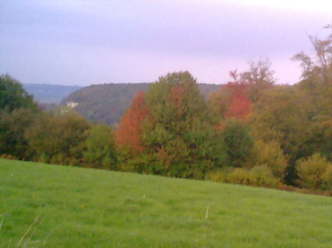 Vue de Fatouville vers la vallée de la Seine - Fatouville-Grestain (27210) - Eure