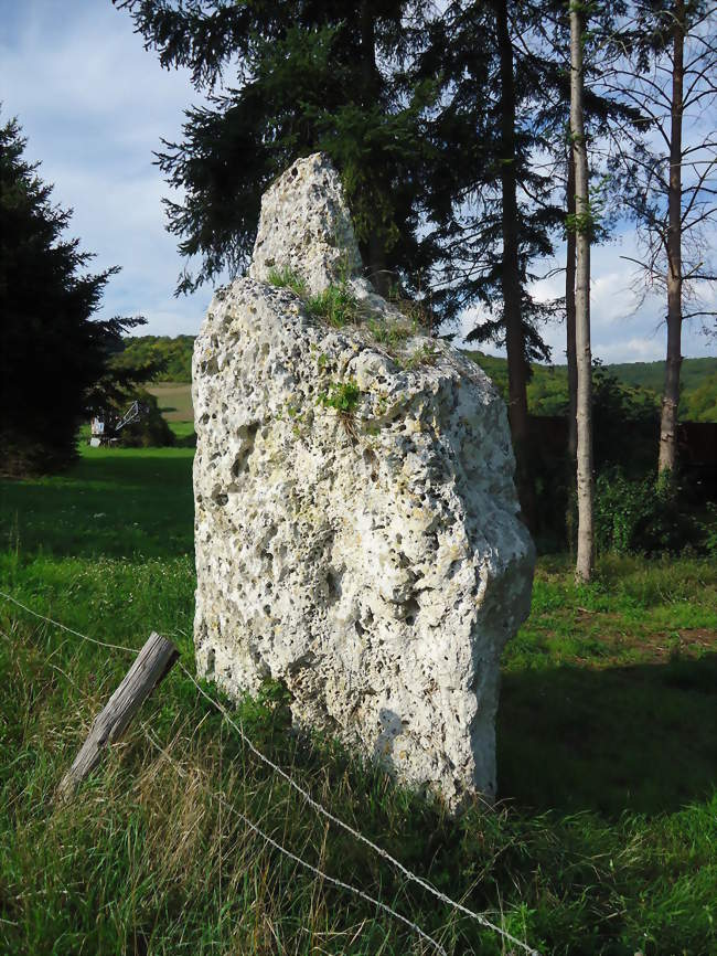 Atelier oenologie