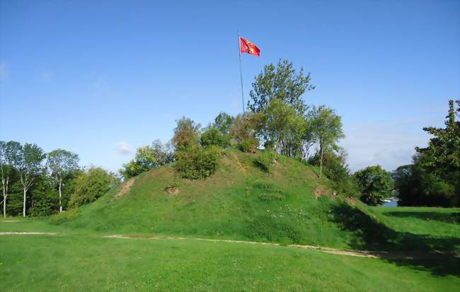 Chasse aux trésors à dos d'âne