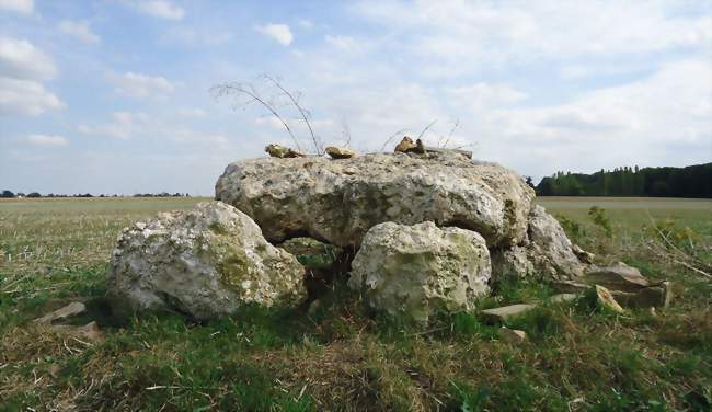 Le dolmen de l'Hôtel-Dieu - Les Ventes (27180) - Eure