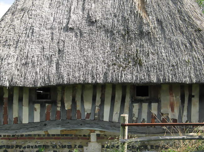 Chaumière à Vieux-Port - Vieux-Port (27680) - Eure